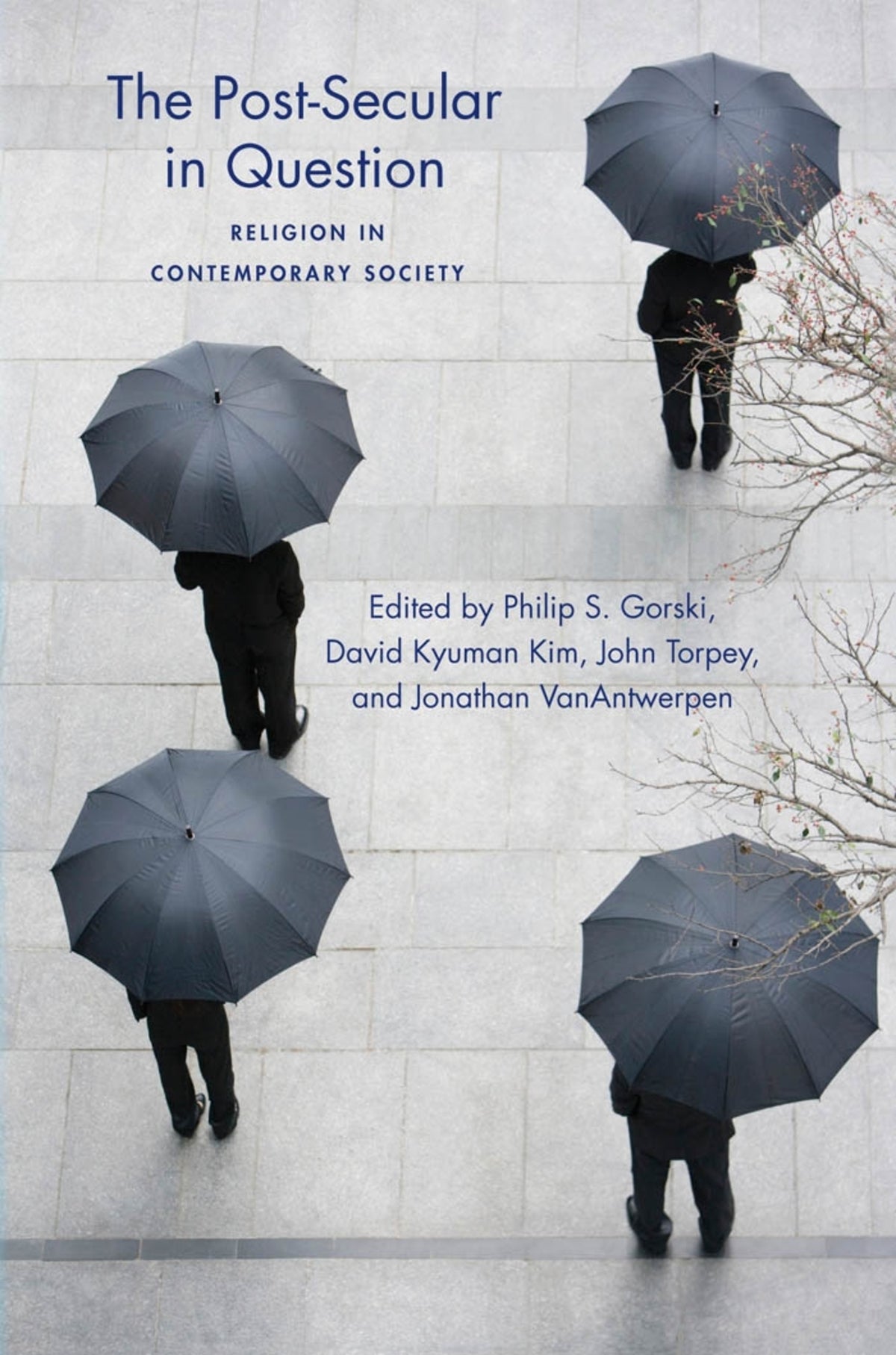 Cover image for The Post-Secular in Question ISBN 9780814738726
