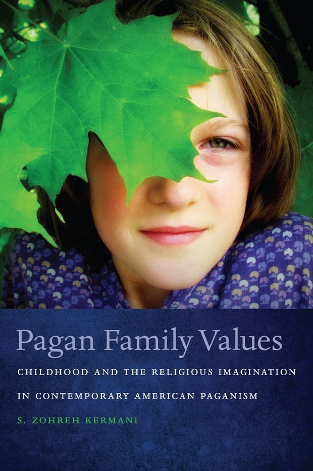 Cover image for Pagan Family Values, isbn: 9780814745144