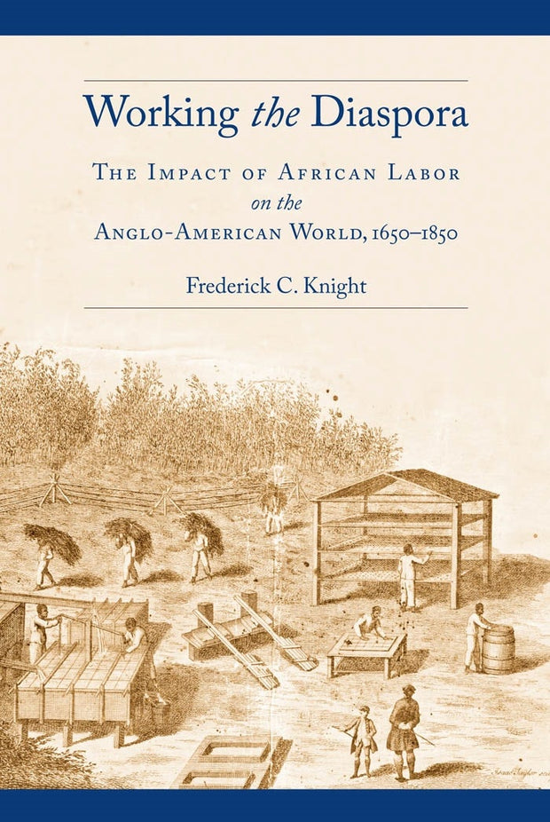 Cover image for Working the Diaspora, isbn: 9780814748343