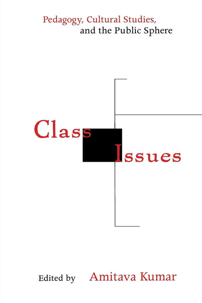 Cover image for Class Issues, isbn: 9780814748701