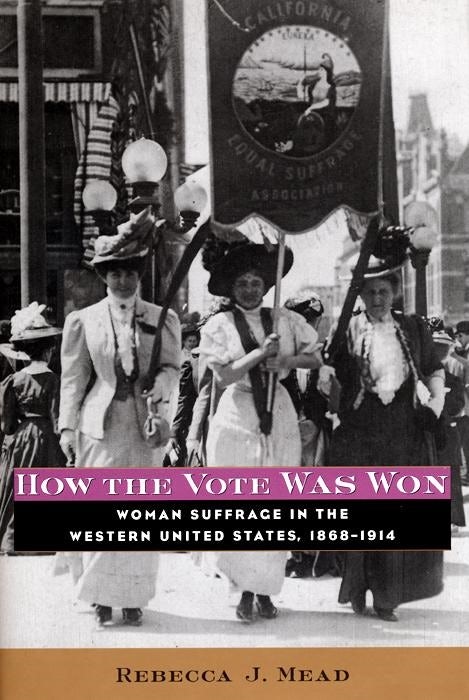 Cover image for How the Vote Was Won, isbn: 9780814759912