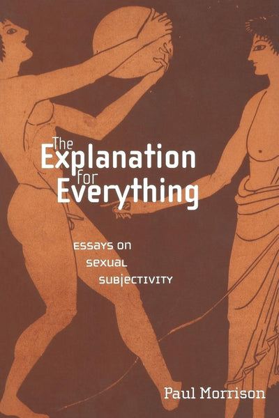 Cover image for The Explanation For Everything, isbn: 9780814764183