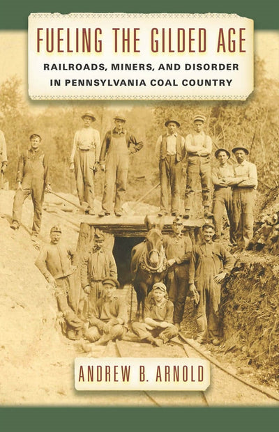 Cover image for Fueling the Gilded Age, isbn: 9780814764565