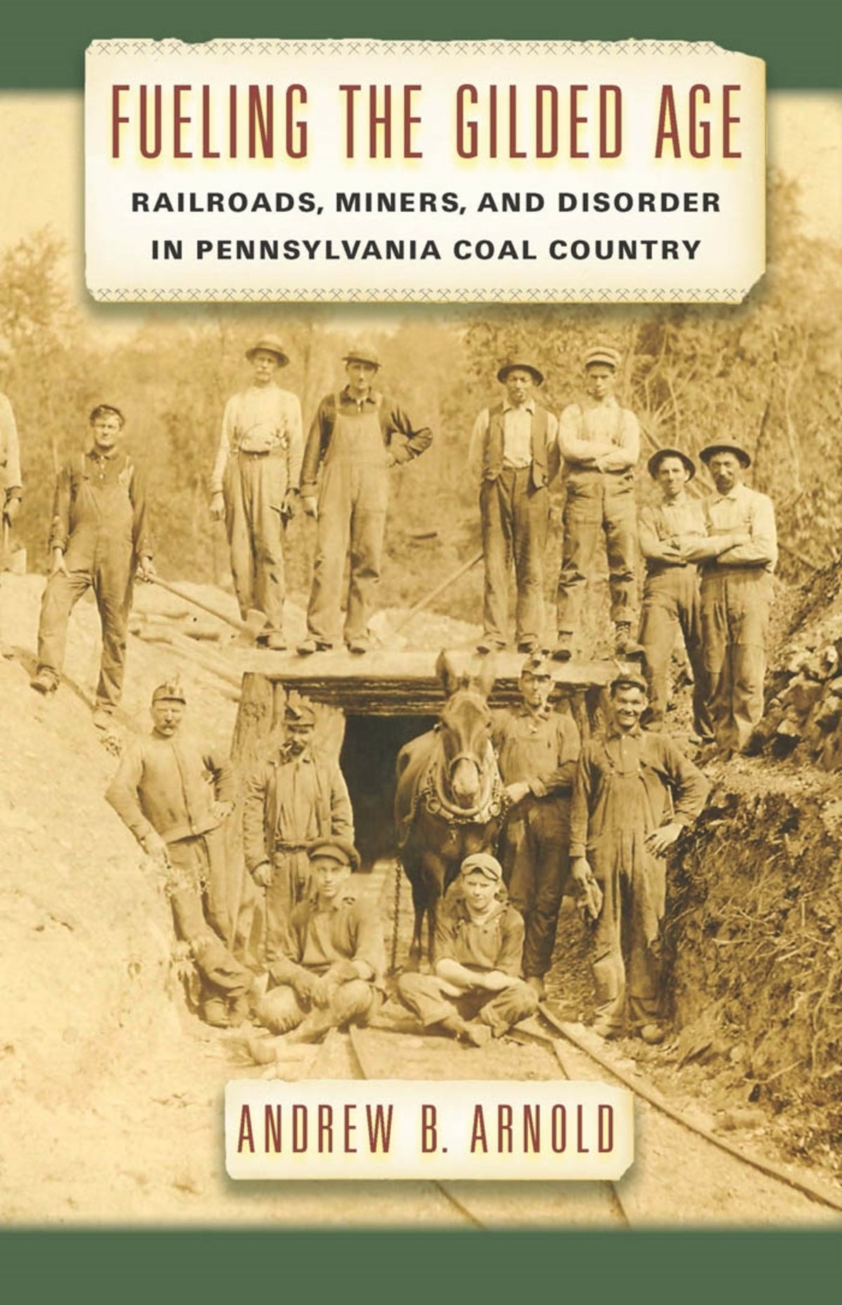 Cover image for Fueling the Gilded Age ISBN 9780814764985