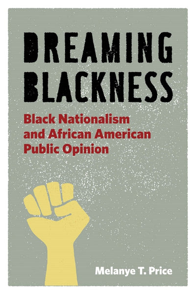 Cover image for Dreaming Blackness, isbn: 9780814767672