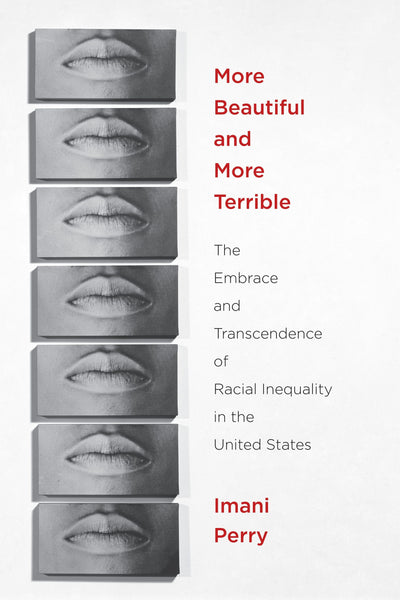 Cover image for More Beautiful and More Terrible, isbn: 9780814768181