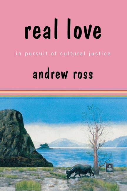 Book cover image for Real Love ISBN: 9780814775059