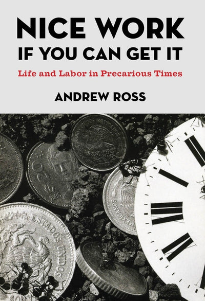 Cover image for Nice Work If You Can Get It, isbn: 9780814776353