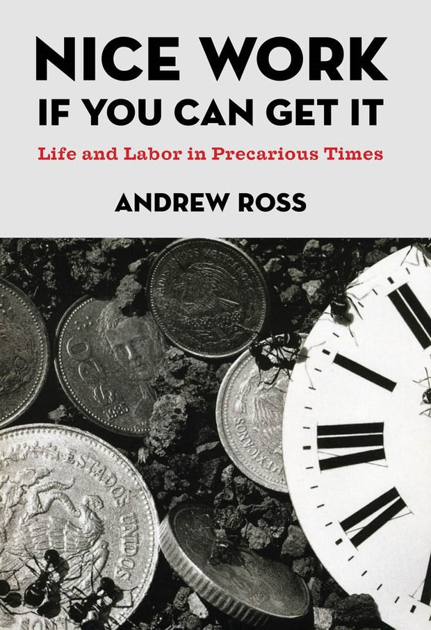 Cover image for Nice Work If You Can Get It, isbn: 9780814776353