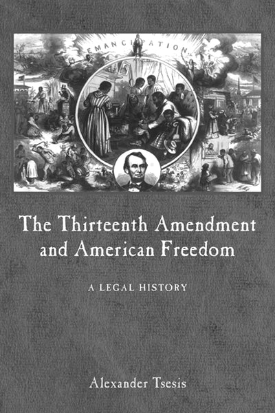 Cover image for The Thirteenth Amendment and American Freedom, isbn: 9780814783399