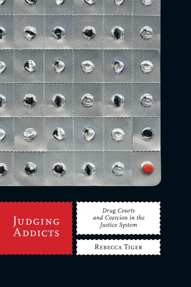 Cover image for Judging Addicts, isbn: 9780814785966