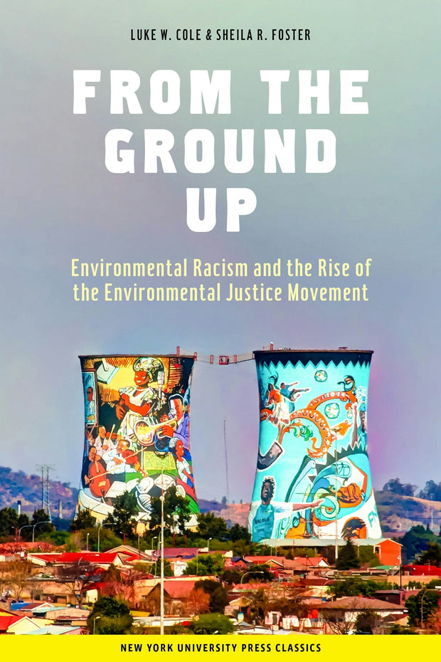 Cover image for From the Ground Up, isbn: 9780814790342