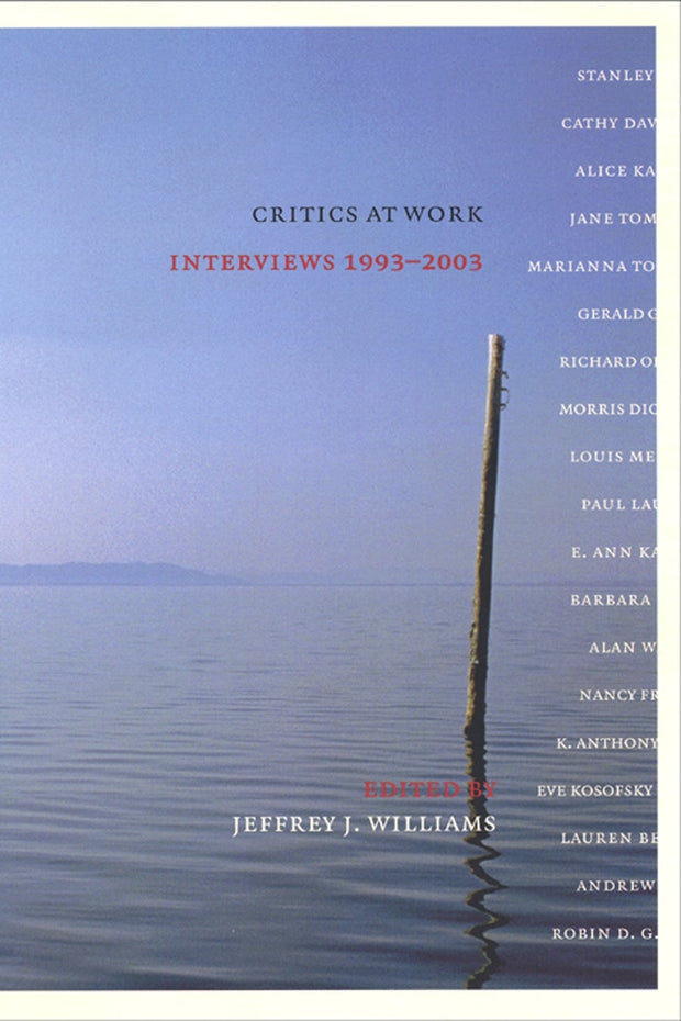 Cover image for Critics at Work, isbn: 9780814795194