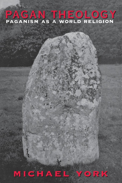 Cover image for Pagan Theology, isbn: 9780814797389