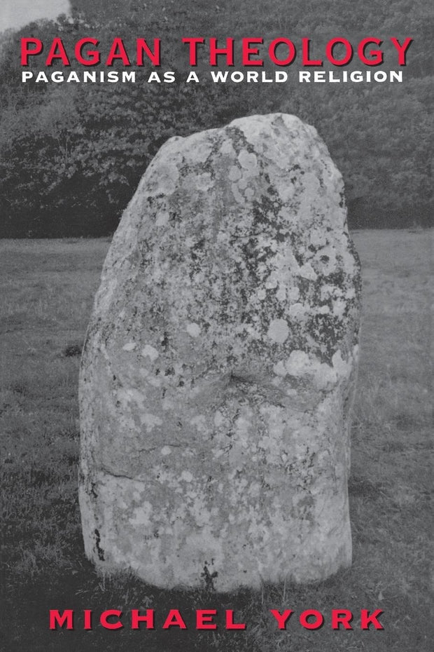 Cover image for Pagan Theology, isbn: 9780814797389