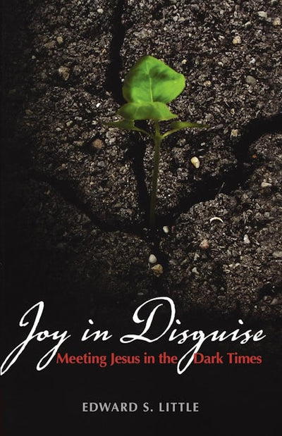 Joy in Disguise