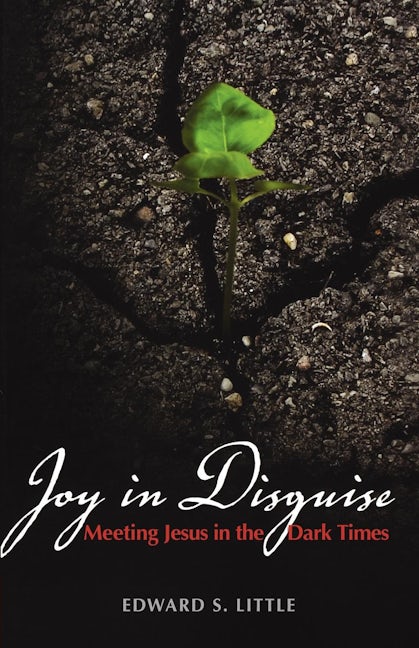 Joy in Disguise