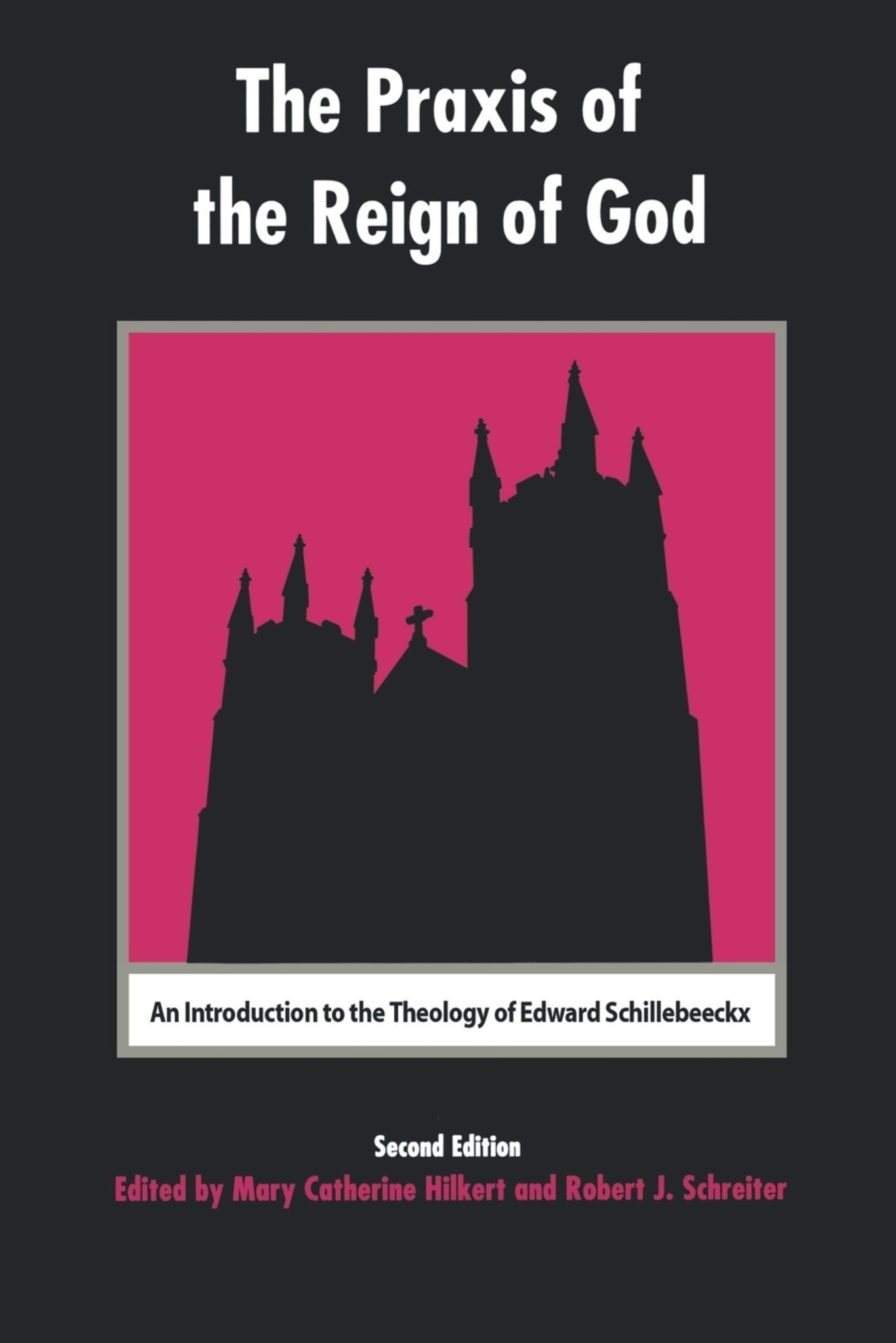 Cover image for The Praxis of the Reign of God ISBN 9780823220236