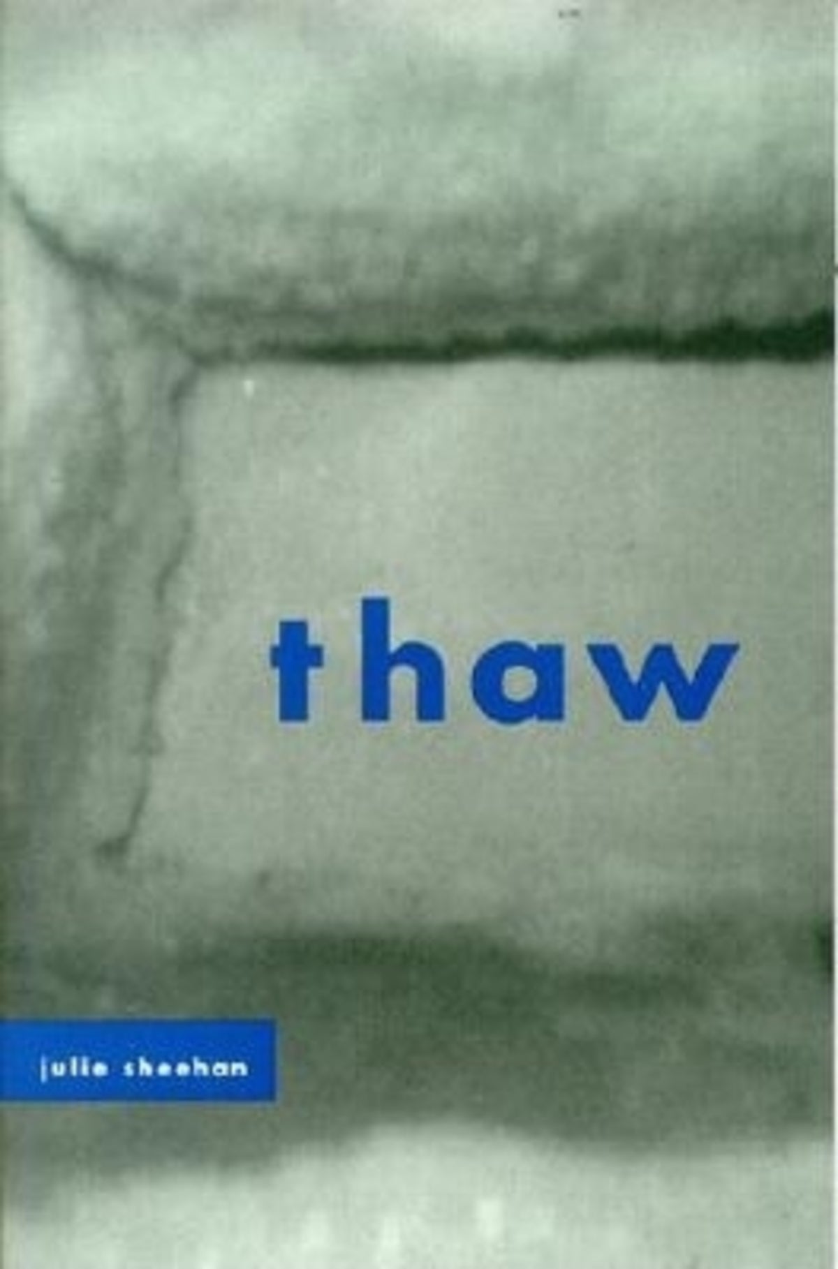 Cover image for Thaw ISBN 9780823221691