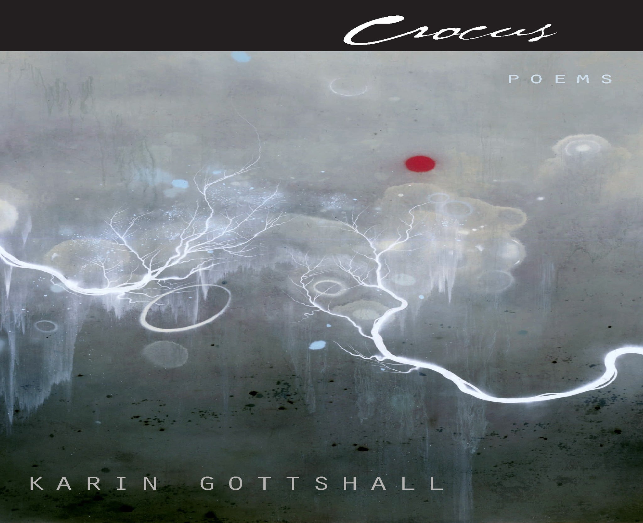 Cover image for Crocus ISBN 9780823227310