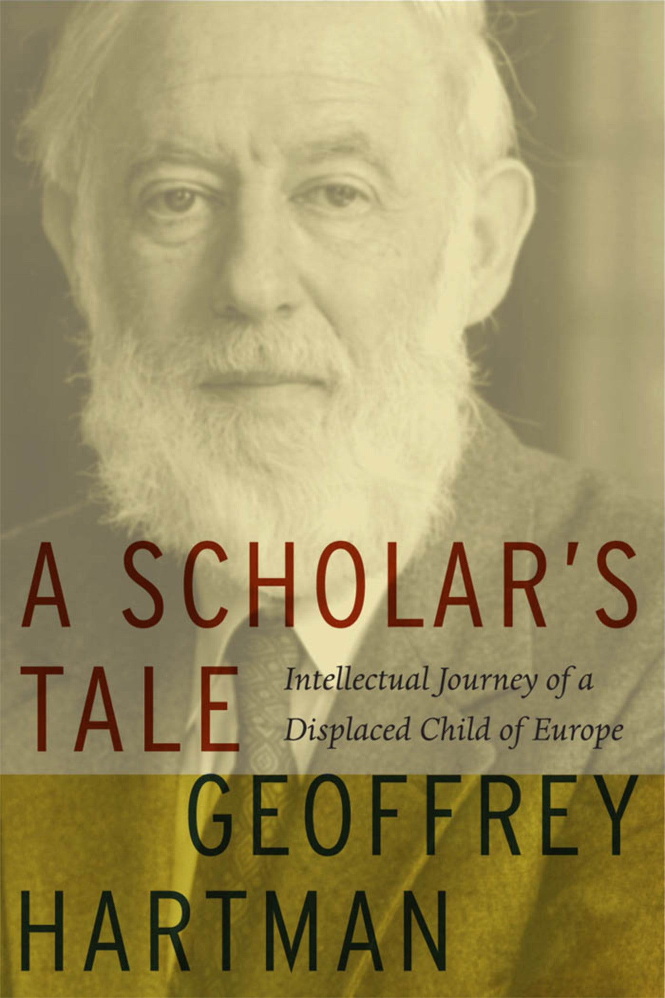 Cover image for A Scholar's Tale ISBN 9780823228324