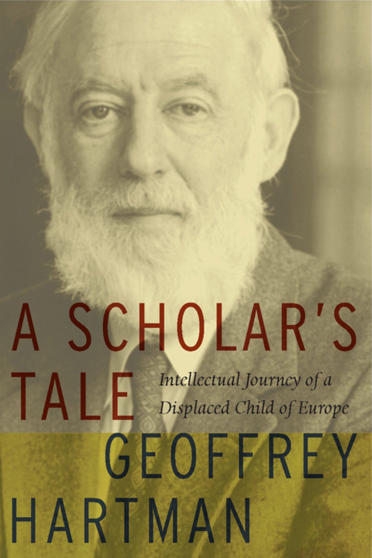 Cover image for A Scholar's Tale ISBN 9780823228331
