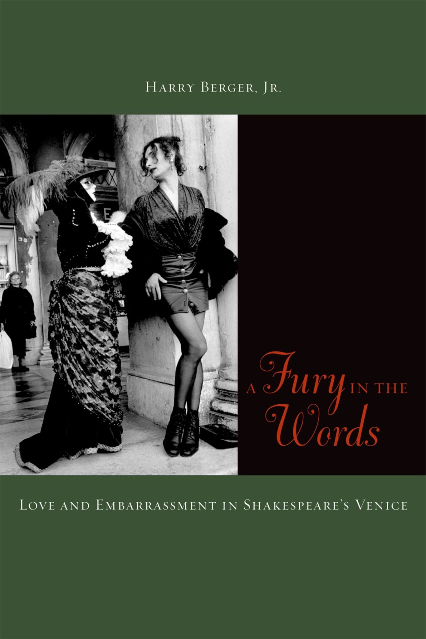 Cover image for A Fury in the Words ISBN 9780823241958
