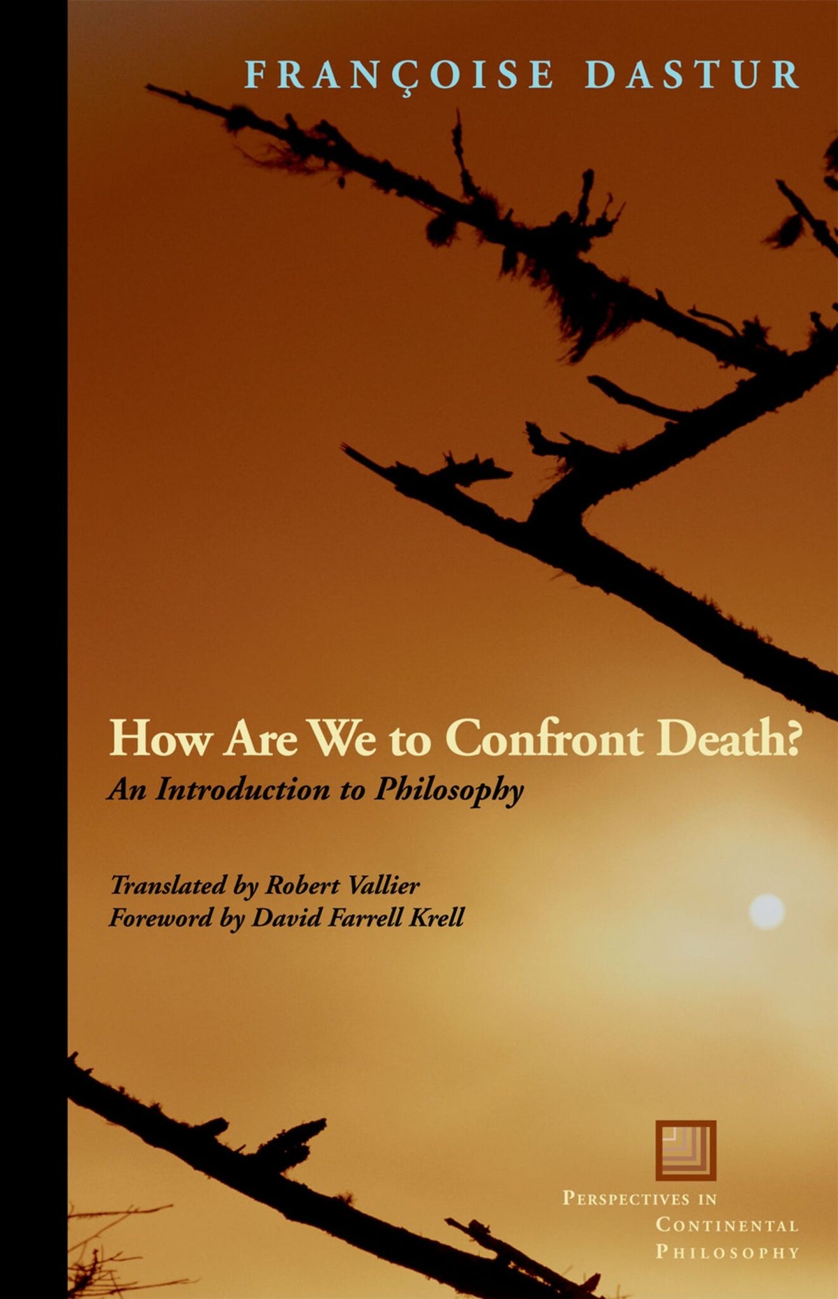 Cover image for How Are We to Confront Death? ISBN 9780823242405