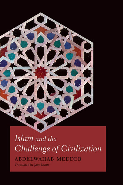 Cover image for Islam and the Challenge of Civilization, isbn: 9780823251230