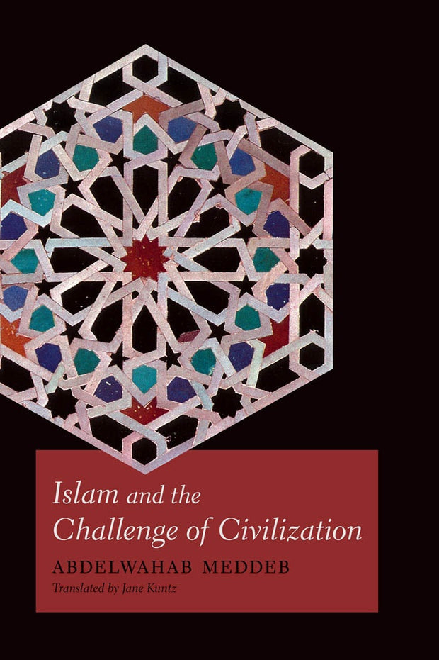 Cover image for Islam and the Challenge of Civilization, isbn: 9780823251230