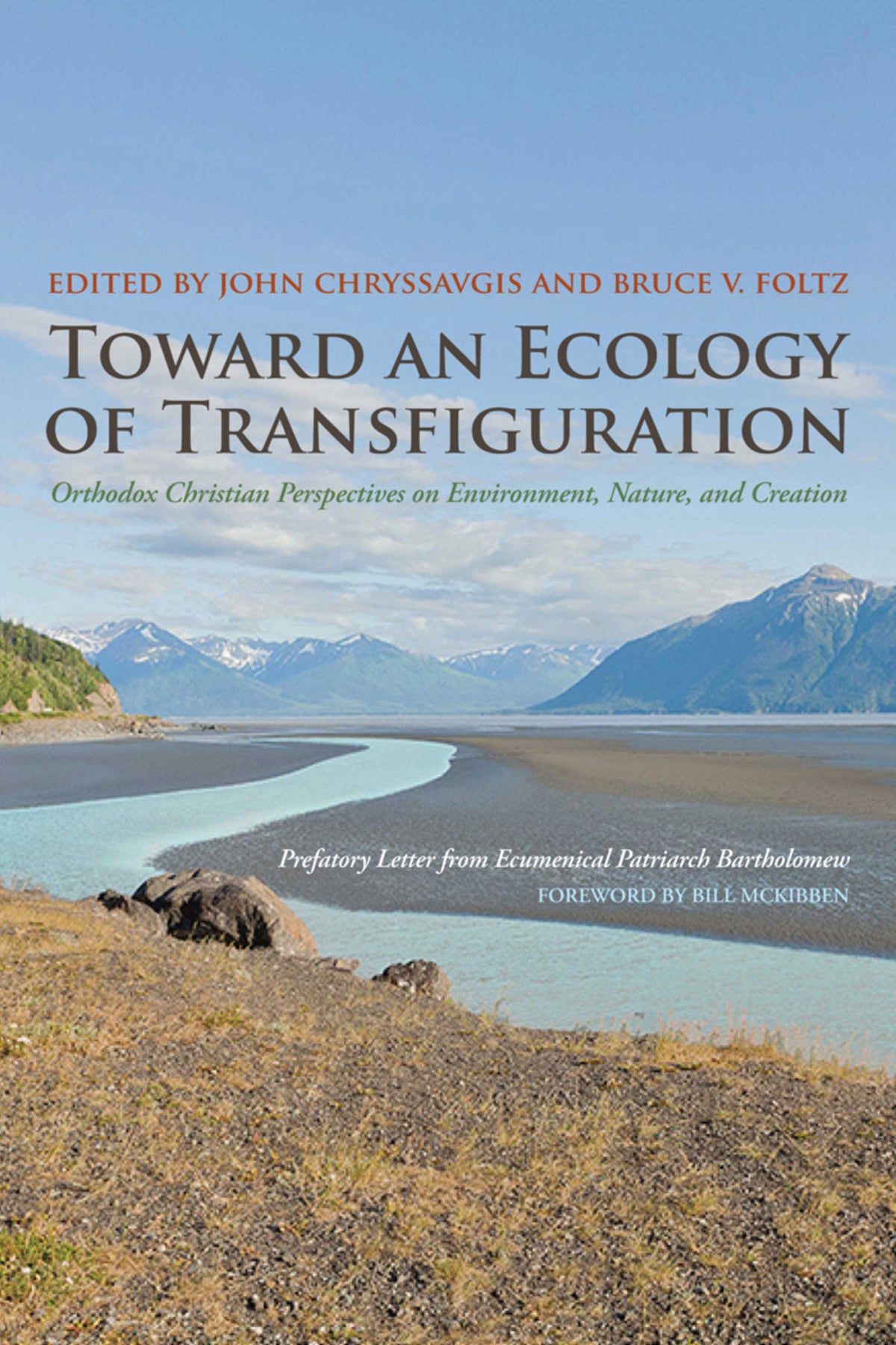 Cover image for Toward an Ecology of Transfiguration ISBN 9780823251452