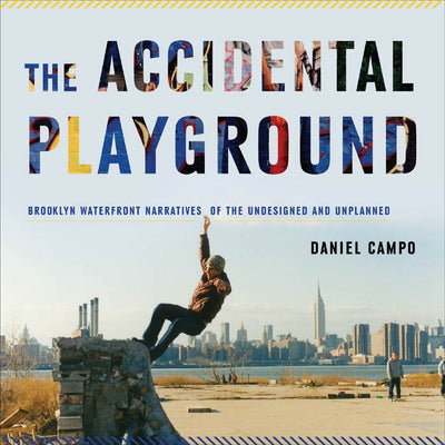 Cover image for The Accidental Playground, isbn: 9780823251865