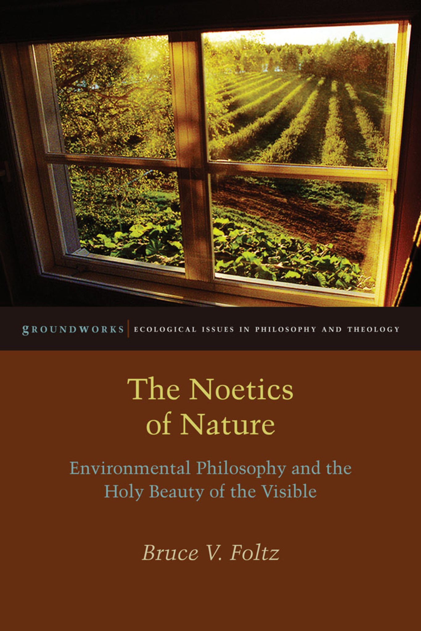Cover image for The Noetics of Nature ISBN 9780823254651