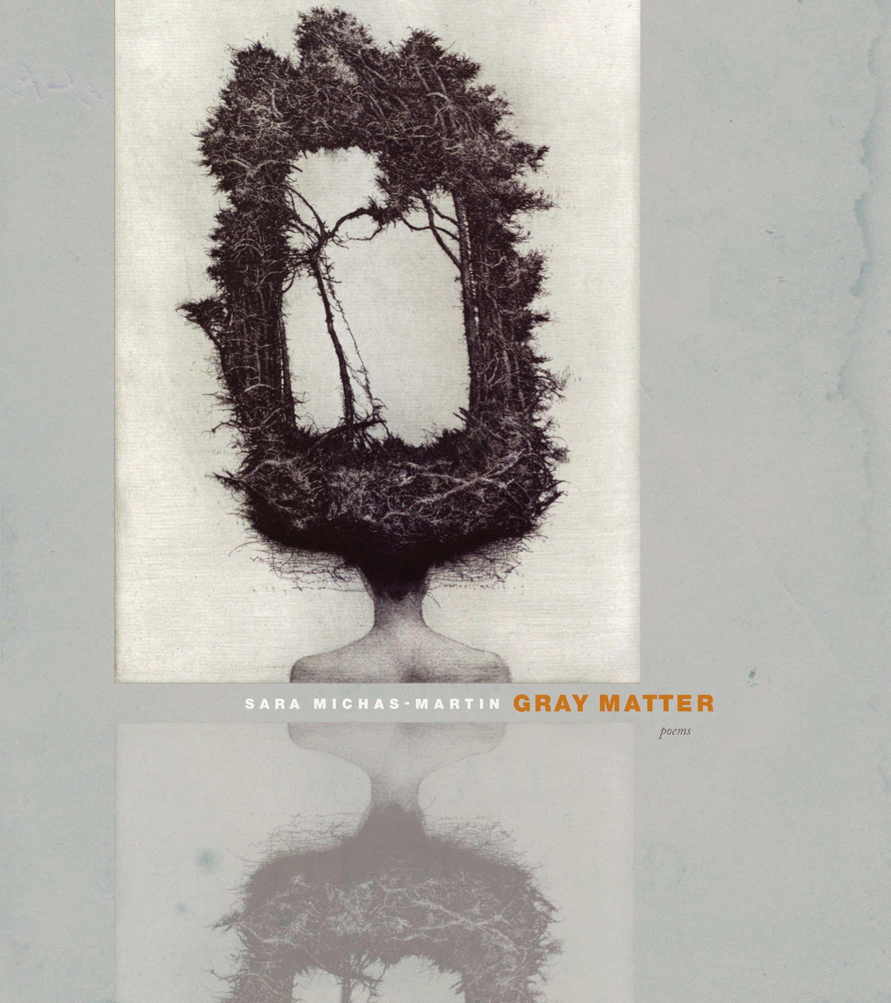 Cover image for Gray Matter ISBN 9780823257782