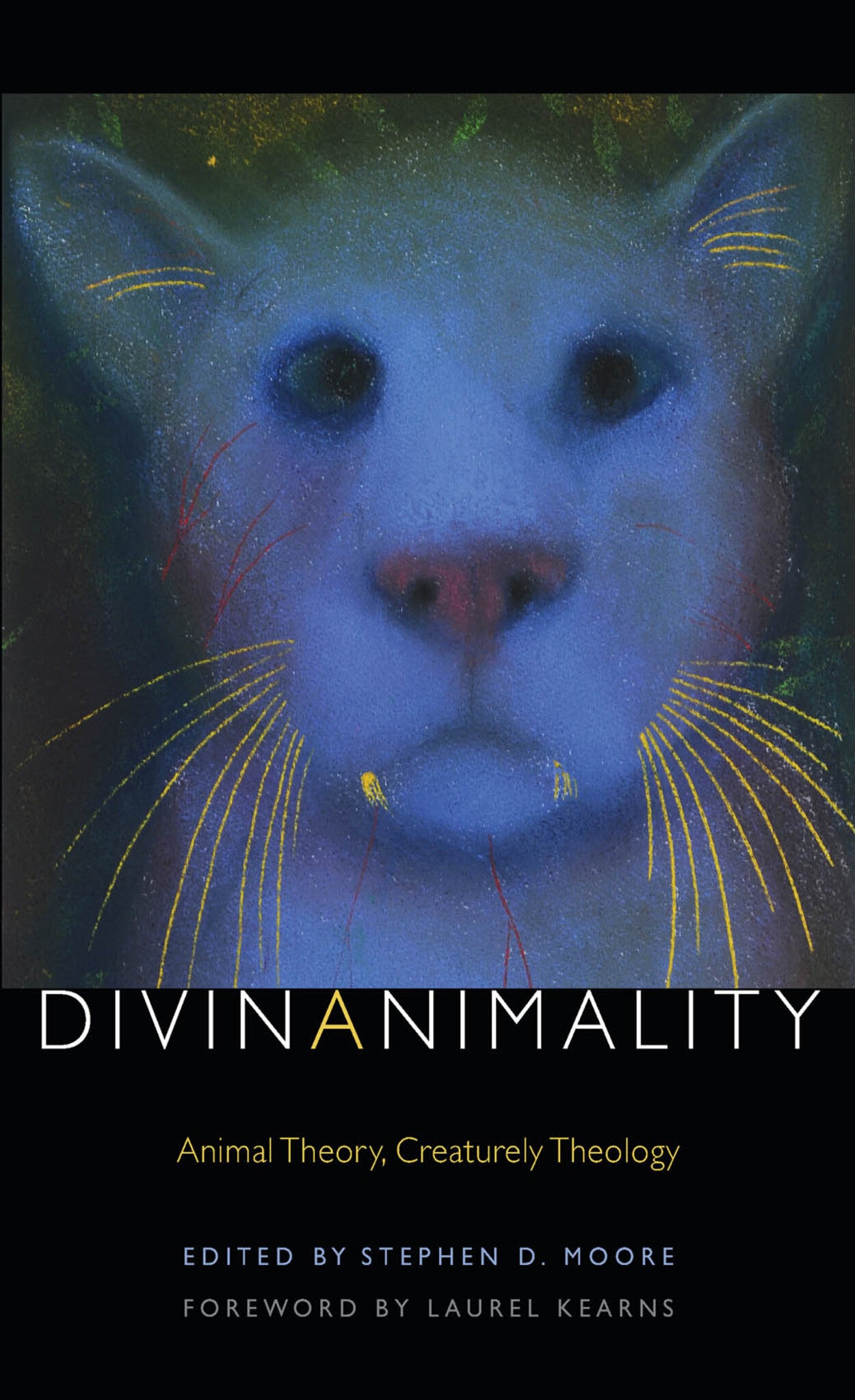 Cover image for Divinanimality ISBN 9780823263202