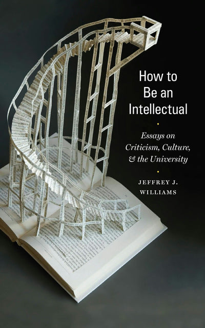 Cover image for How to Be an Intellectual, isbn: 9780823263806