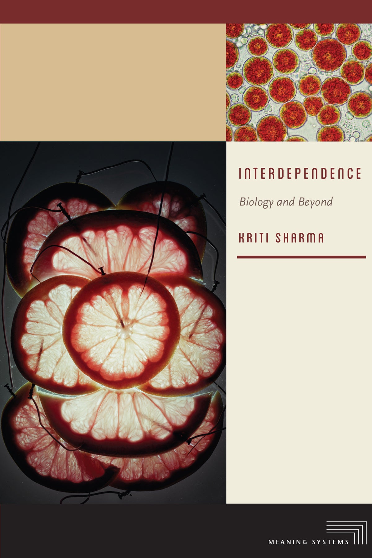 Cover image for Interdependence ISBN 9780823265534