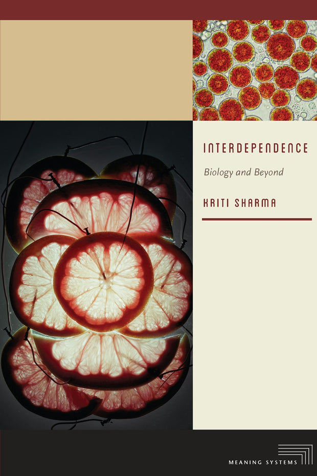Cover image for Interdependence, isbn: 9780823265534