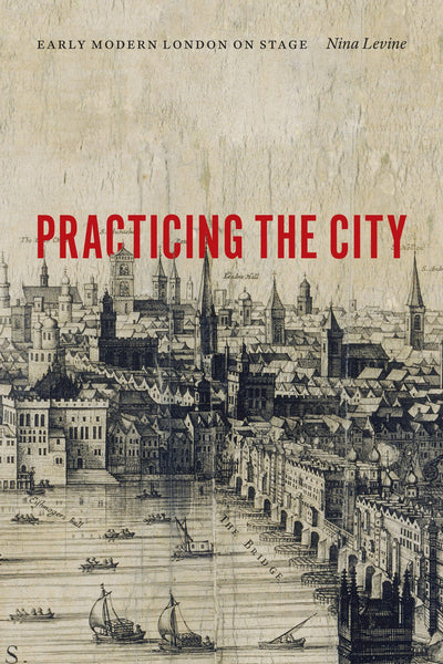 Cover image for Practicing the City, isbn: 9780823267873