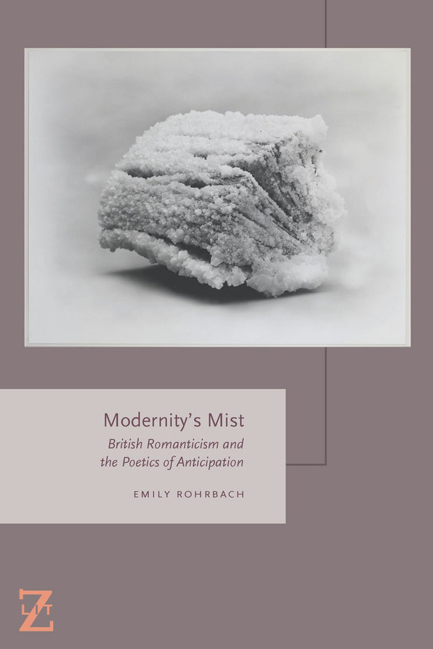 Cover image for Modernity's Mist, isbn: 9780823267965