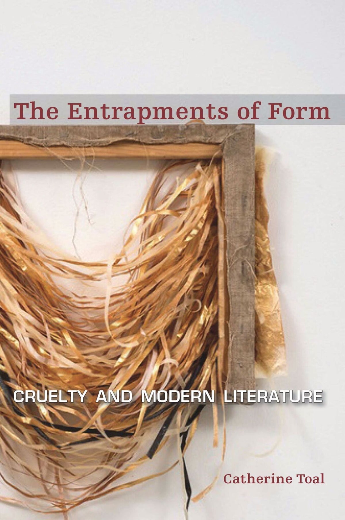 Cover image for The Entrapments of Form ISBN 9780823269341