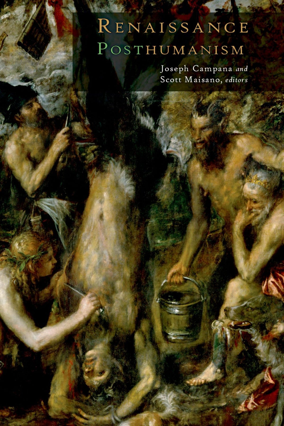 Cover image for Renaissance Posthumanism ISBN 9780823269556