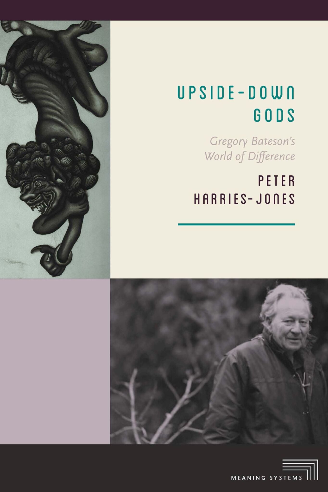 Cover image for Upside-Down Gods ISBN 9780823270354
