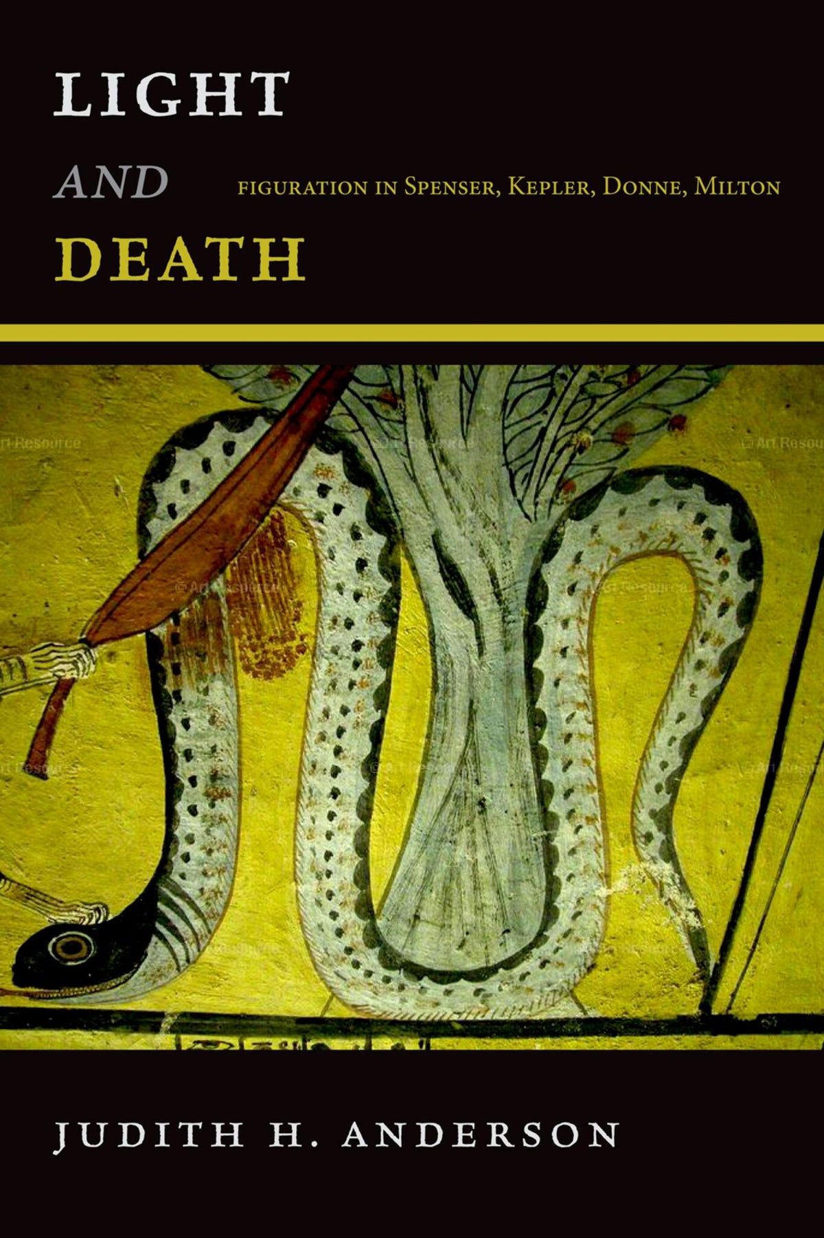 Cover image for Light and Death ISBN 9780823272778