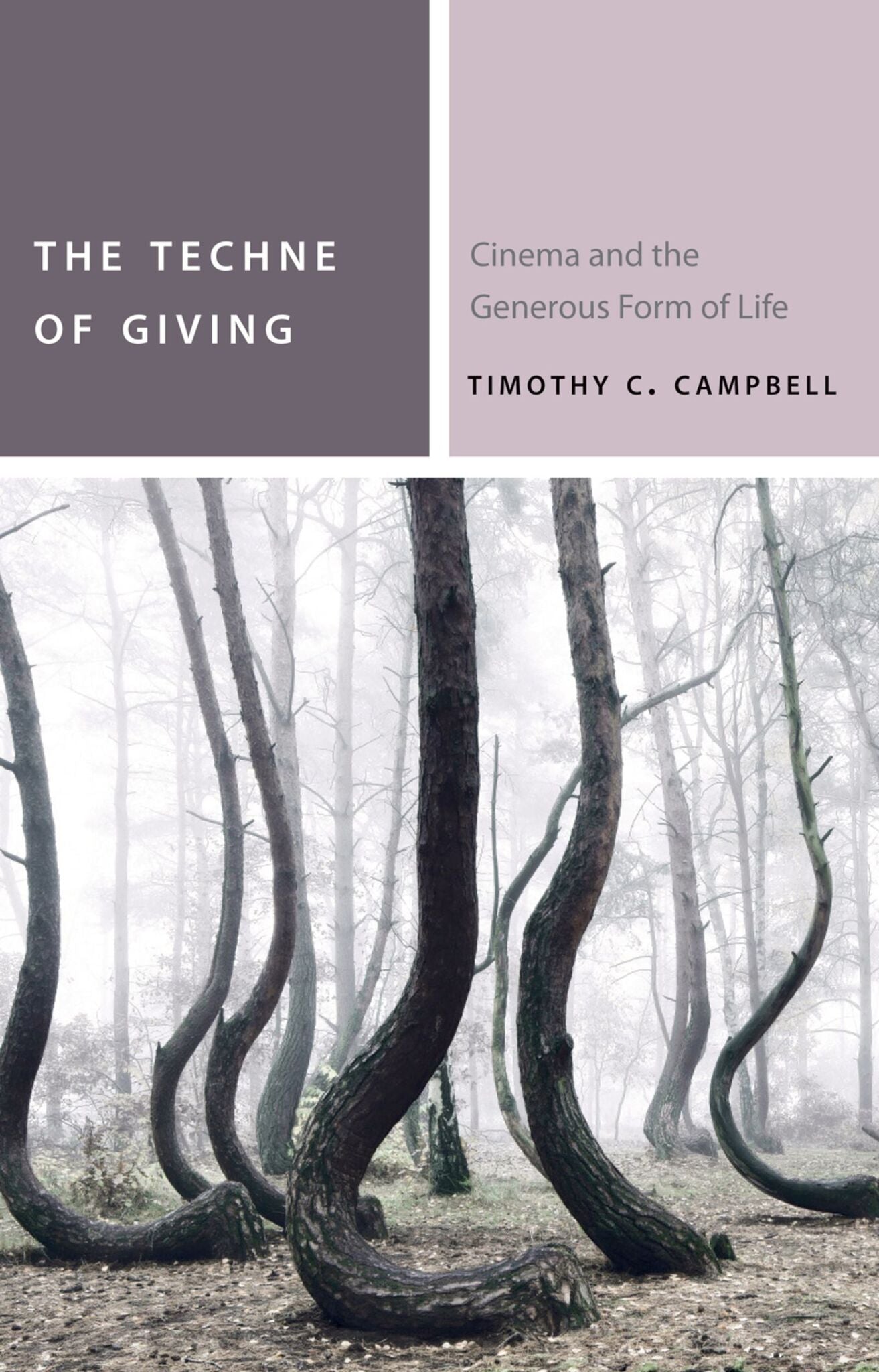 Cover image for The Techne of Giving ISBN 9780823273256