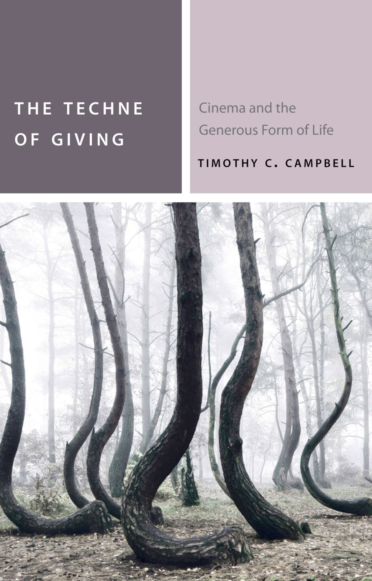 Cover image for The Techne of Giving ISBN 9780823273263