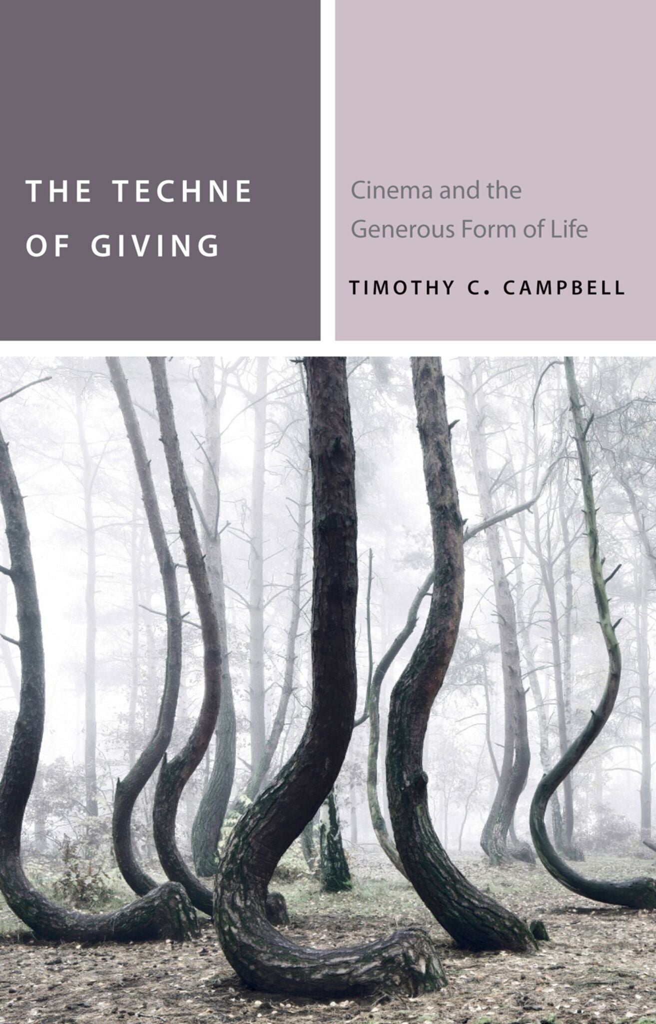 Cover image for The Techne of Giving ISBN 9780823273263