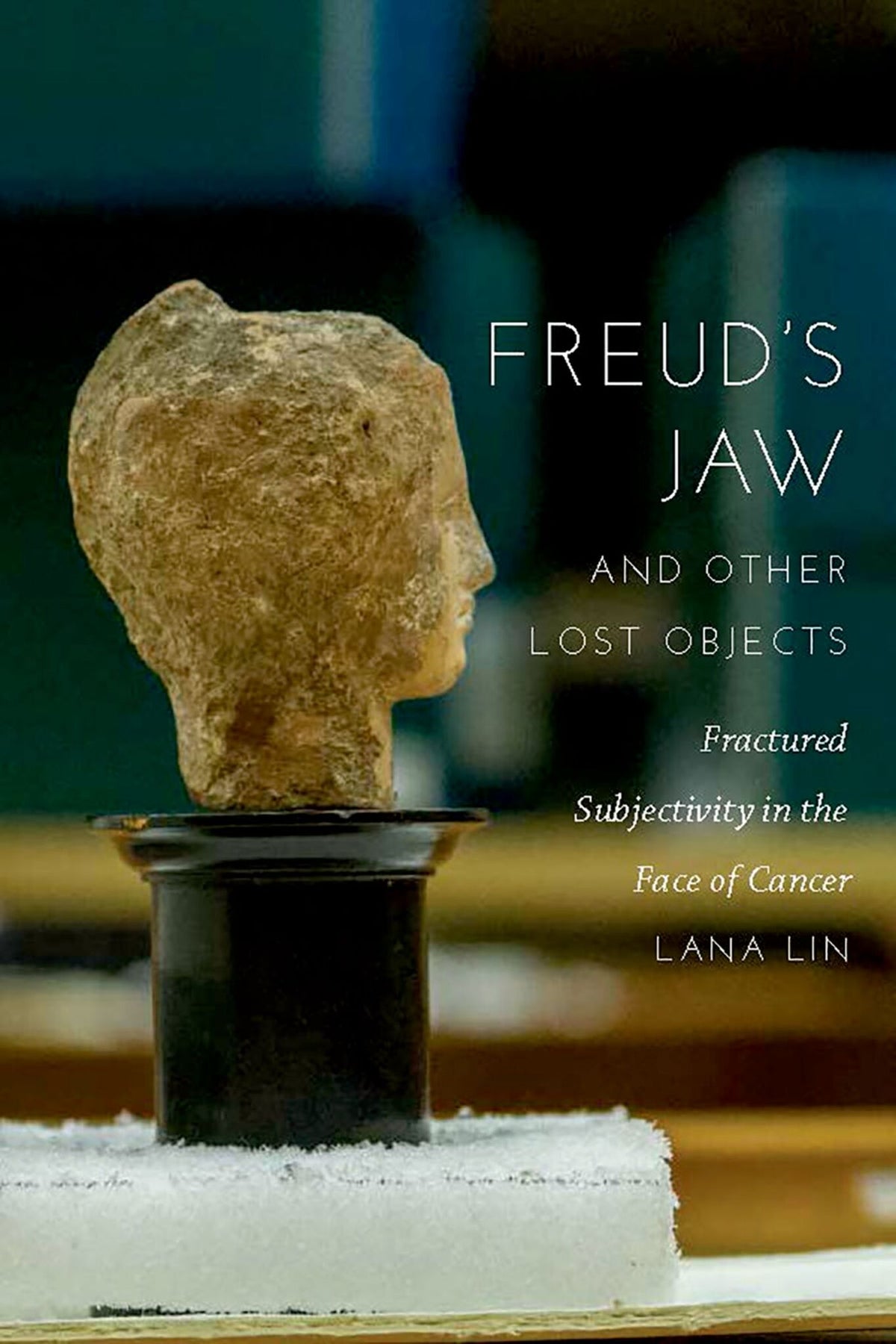 Cover image for Freud's Jaw and Other Lost Objects ISBN 9780823277711