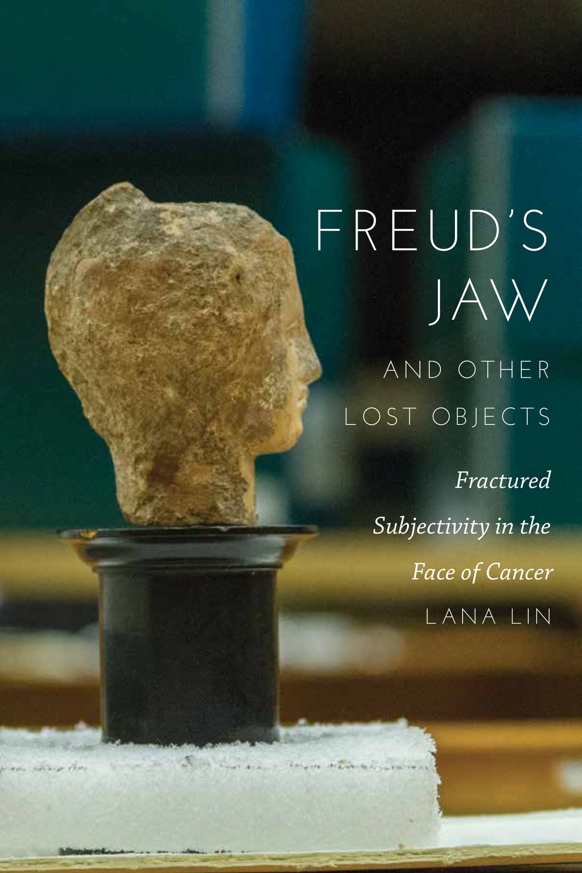 Cover image for Freud's Jaw and Other Lost Objects ISBN 9780823277728