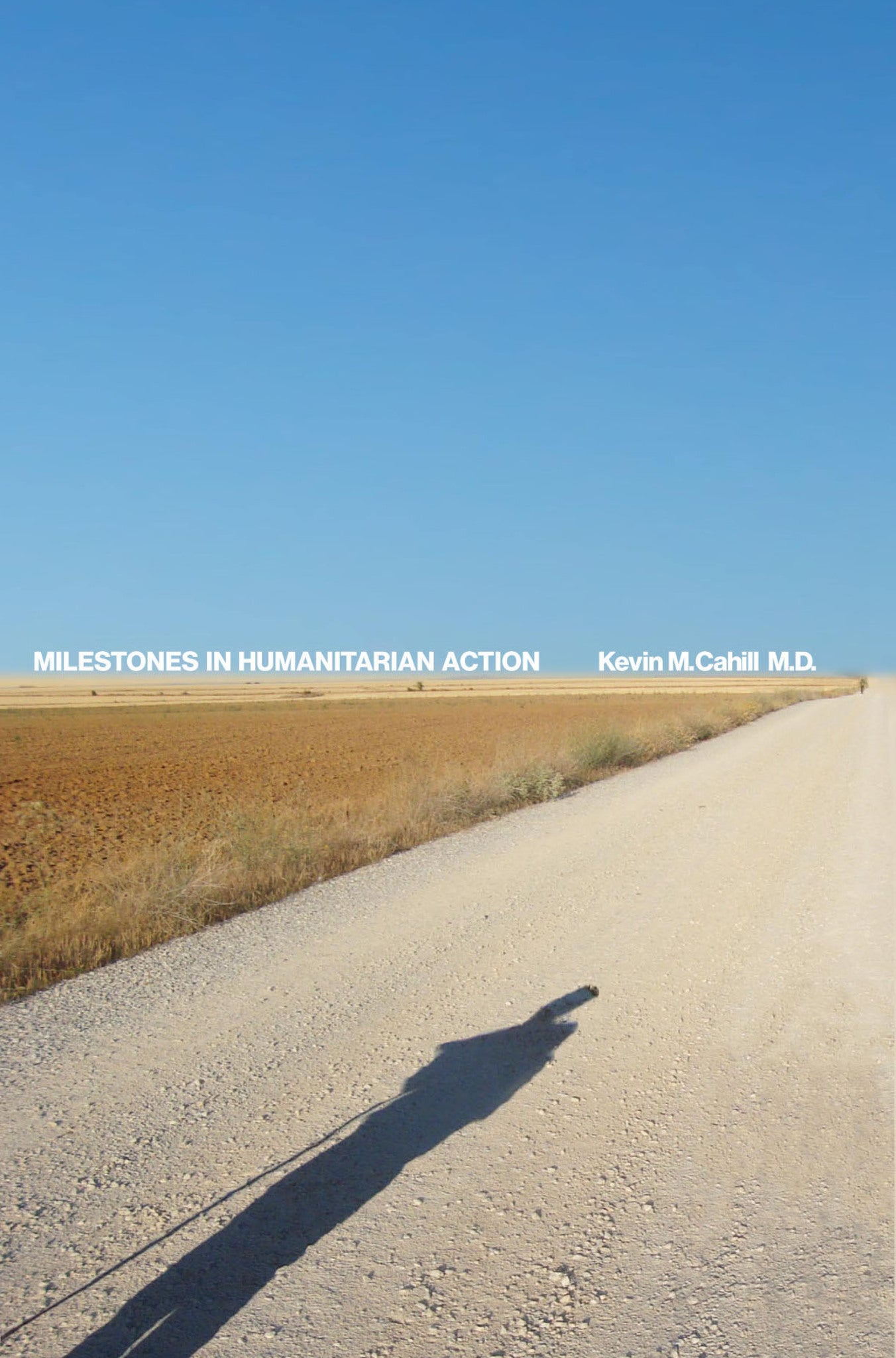 Cover image for Milestones in Humanitarian Action ISBN 9780823279050